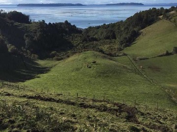 Venta / Parcela / Dalcahue