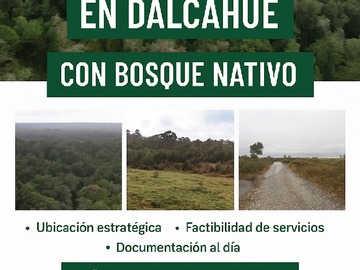 Venta / Parcela / Dalcahue