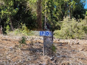 Venta / Parcela / Dalcahue