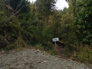 Venta / Parcela / Dalcahue