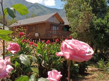 Venta / Parcela / Doñihue