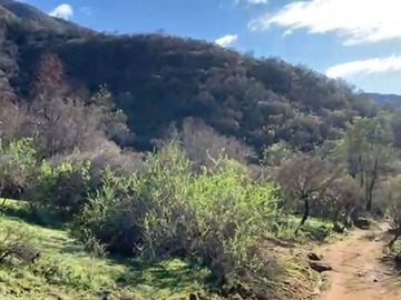 Venta / Parcela / El Monte