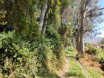 Venta / Parcela / El Monte