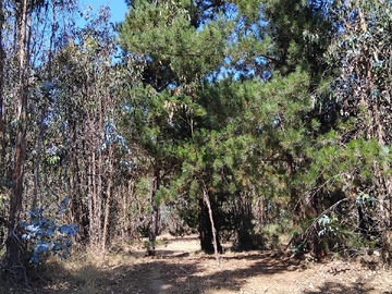 Venta / Parcela / El Quisco