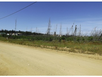 Imagen 5