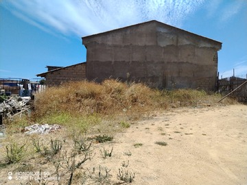 Imagen 5