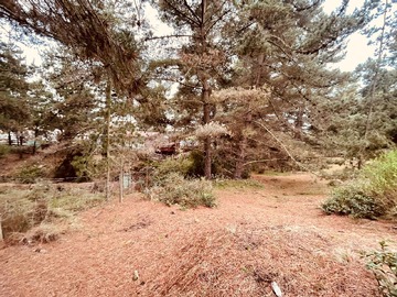 Venta / Parcela / El Tabo