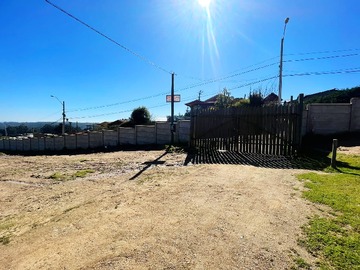 Imagen 5