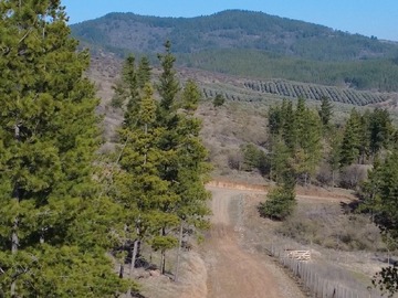 Venta / Parcela / Empedrado