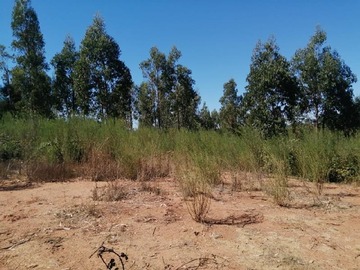 Imagen 15