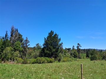 Venta / Parcela / Florida