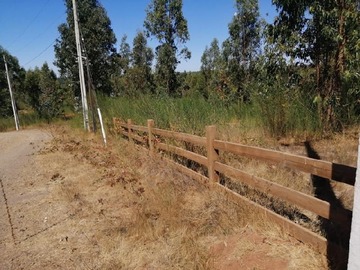 Imagen 5