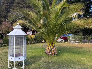 Imagen 6