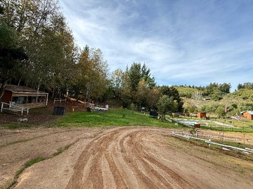 Imagen 13