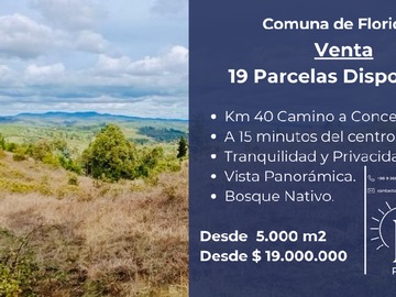 Venta / Parcela / Florida