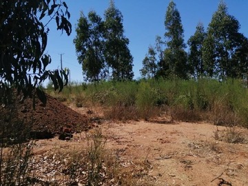 Imagen 17