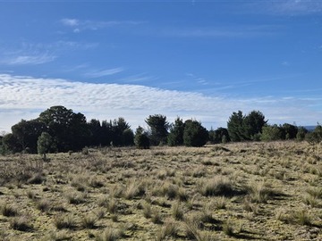Imagen 6