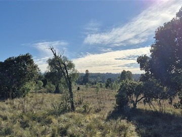 Imagen 12