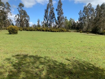 Venta / Parcela / Freire