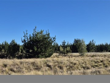 Imagen 32