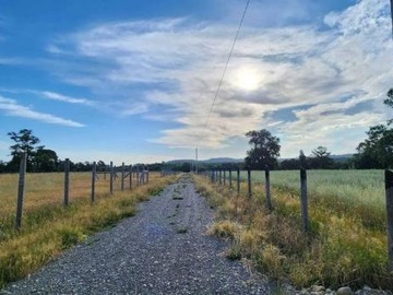 Venta / Parcela / Freire