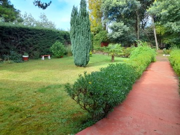 Imagen 11