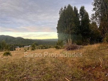 Imagen 31