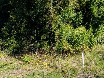 Venta / Parcela / Fresia