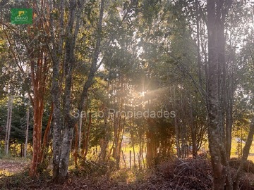 Imagen 16