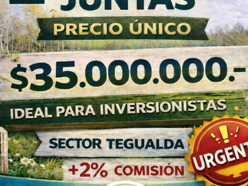 Venta / Parcela / Fresia