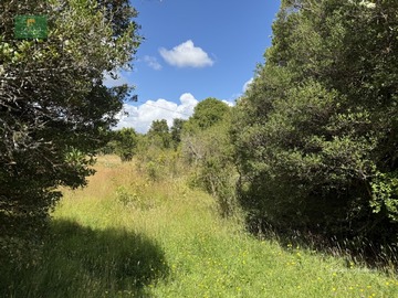 Venta / Parcela / Fresia