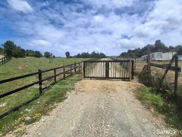 Venta / Parcela / Fresia