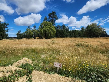 Venta / Parcela / Fresia