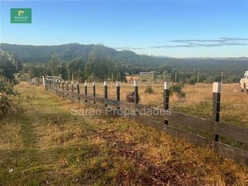Imagen 11