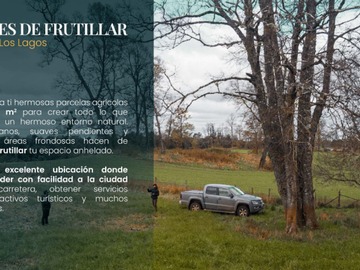 Imagen 11