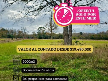 Imagen 6