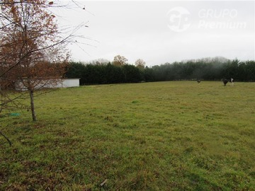 Venta / Parcela / Frutillar