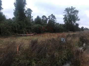 Imagen 15
