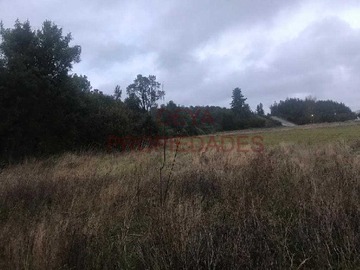 Imagen 11