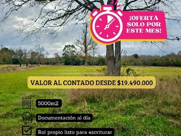 Imagen 21