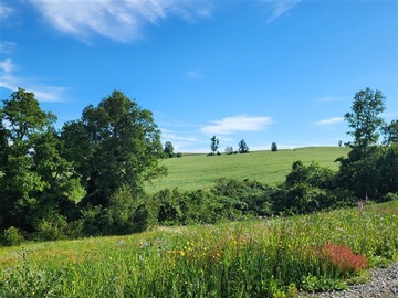 Venta / Parcela / Frutillar