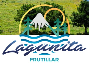 Venta / Parcela / Frutillar