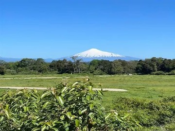 Venta / Parcela / Frutillar