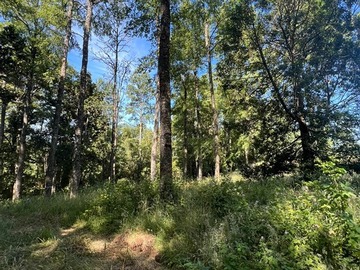 Venta / Parcela / Frutillar