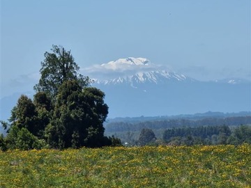 Imagen 9