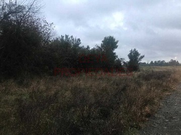 Imagen 16