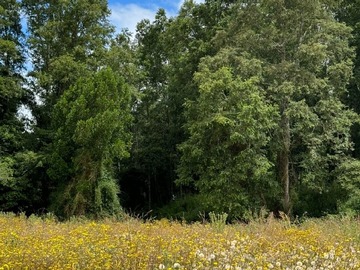 Venta / Parcela / Frutillar