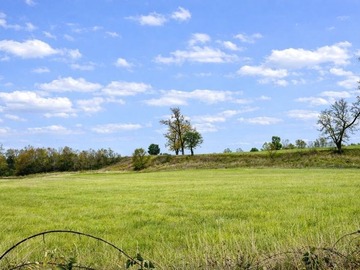 Venta / Parcela / Frutillar