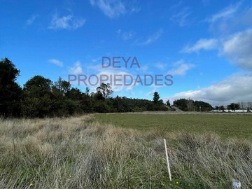 Venta / Parcela / Frutillar