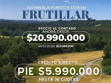 Venta / Parcela / Frutillar